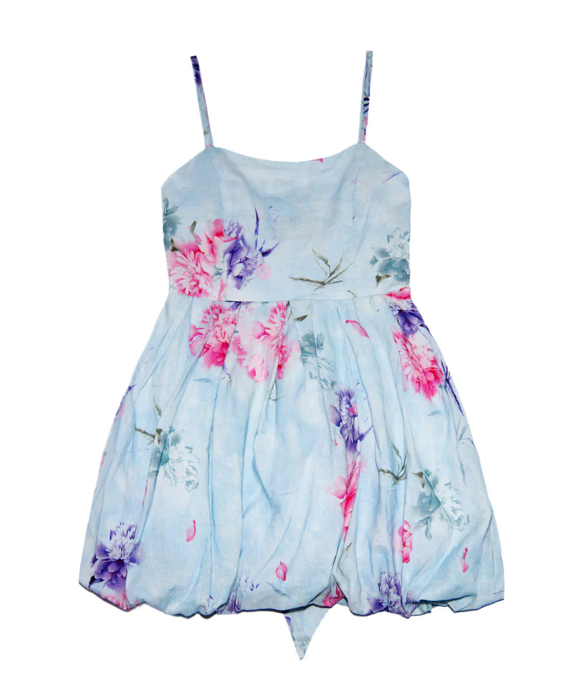 Quinn Blue Dream Floral Dress