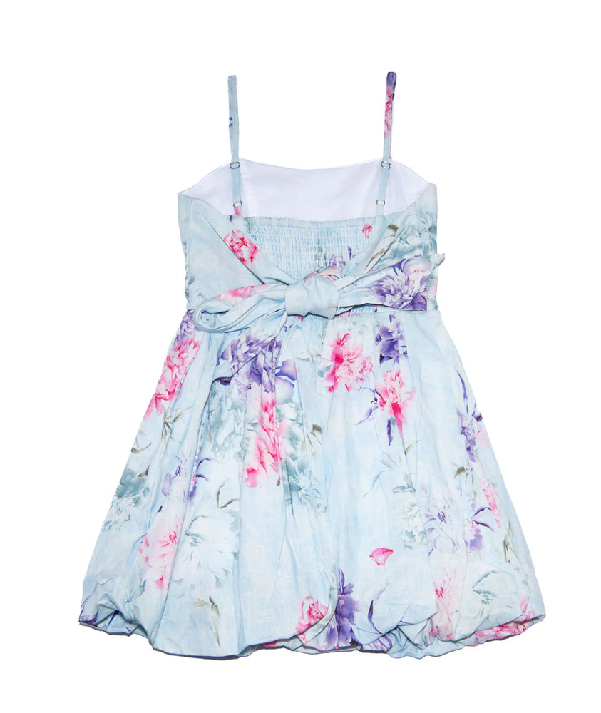 Quinn Blue Dream Floral Dress