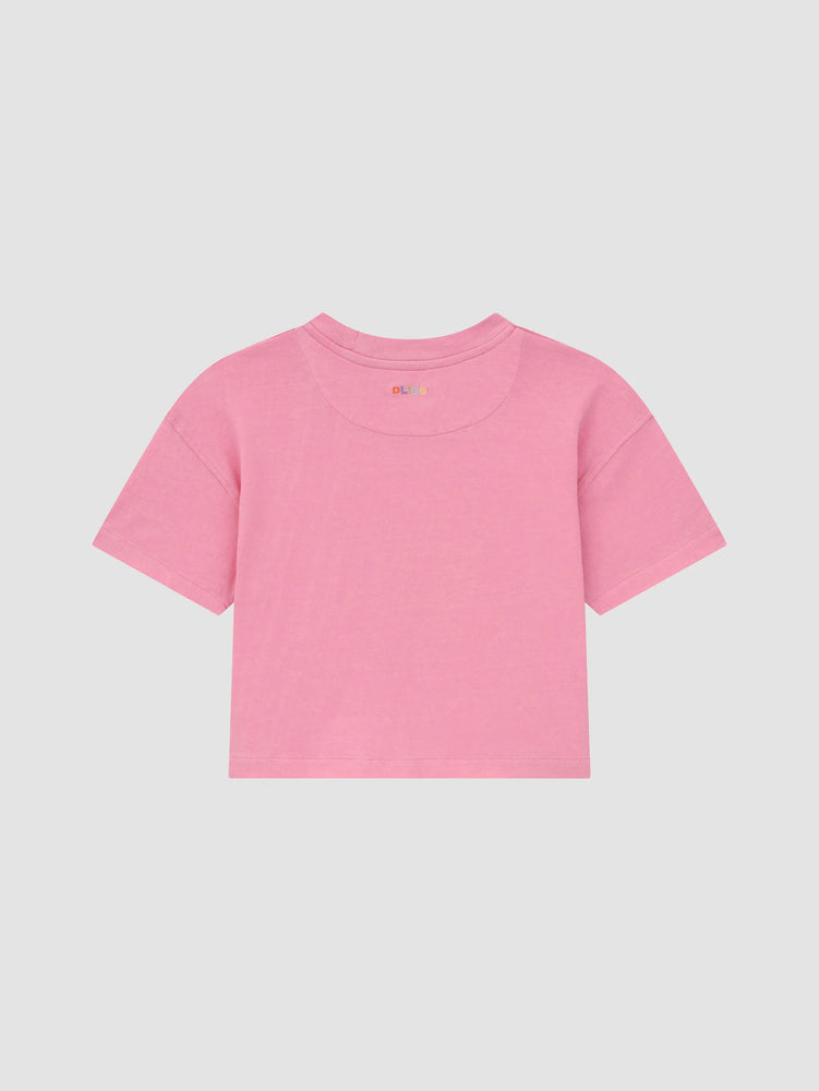 Flamingo Tee Shirt