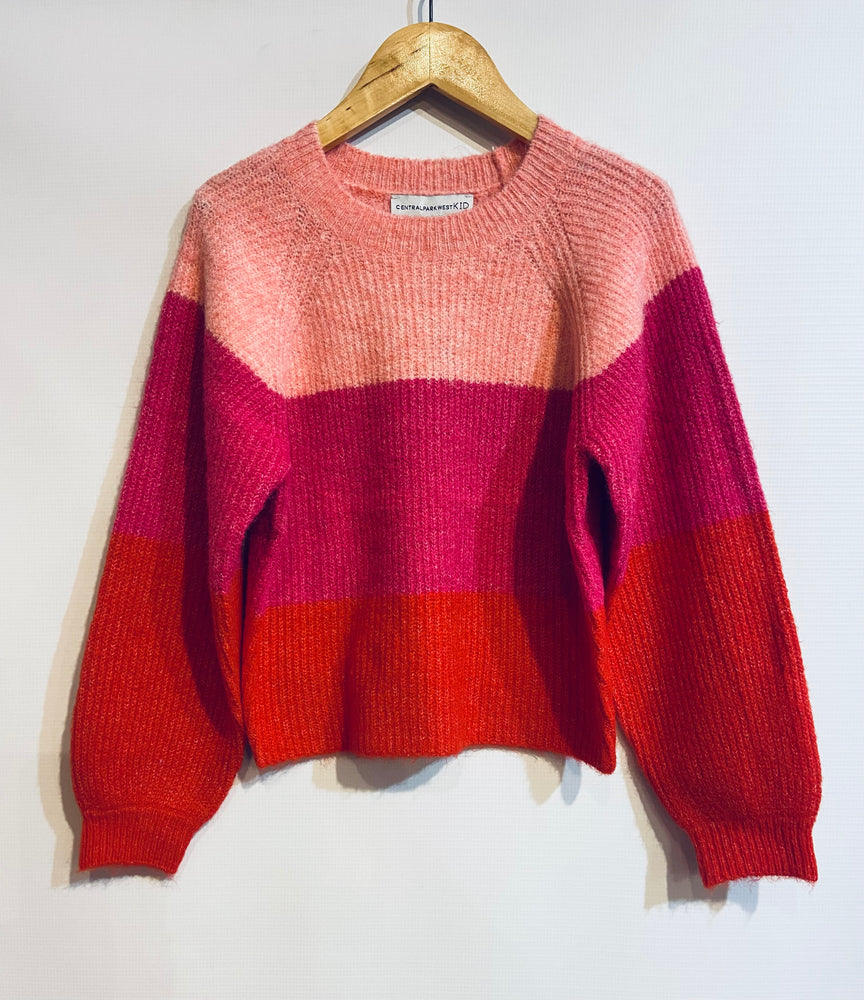 Pink Tricolor Crewneck Sweater