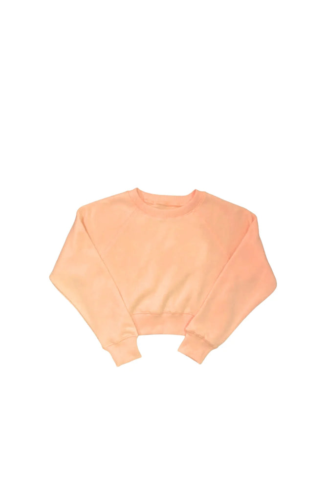 Dylan Crew Sweatshirt- Orange Slush