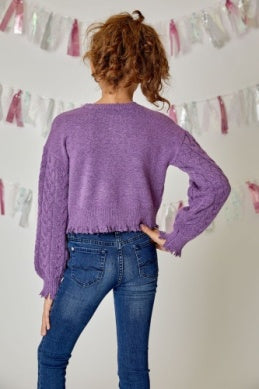 Purple Zest Sweater